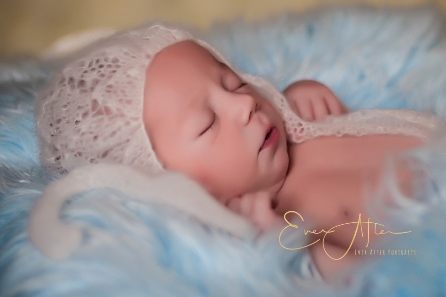 Baby Portraits in Fairfax Station